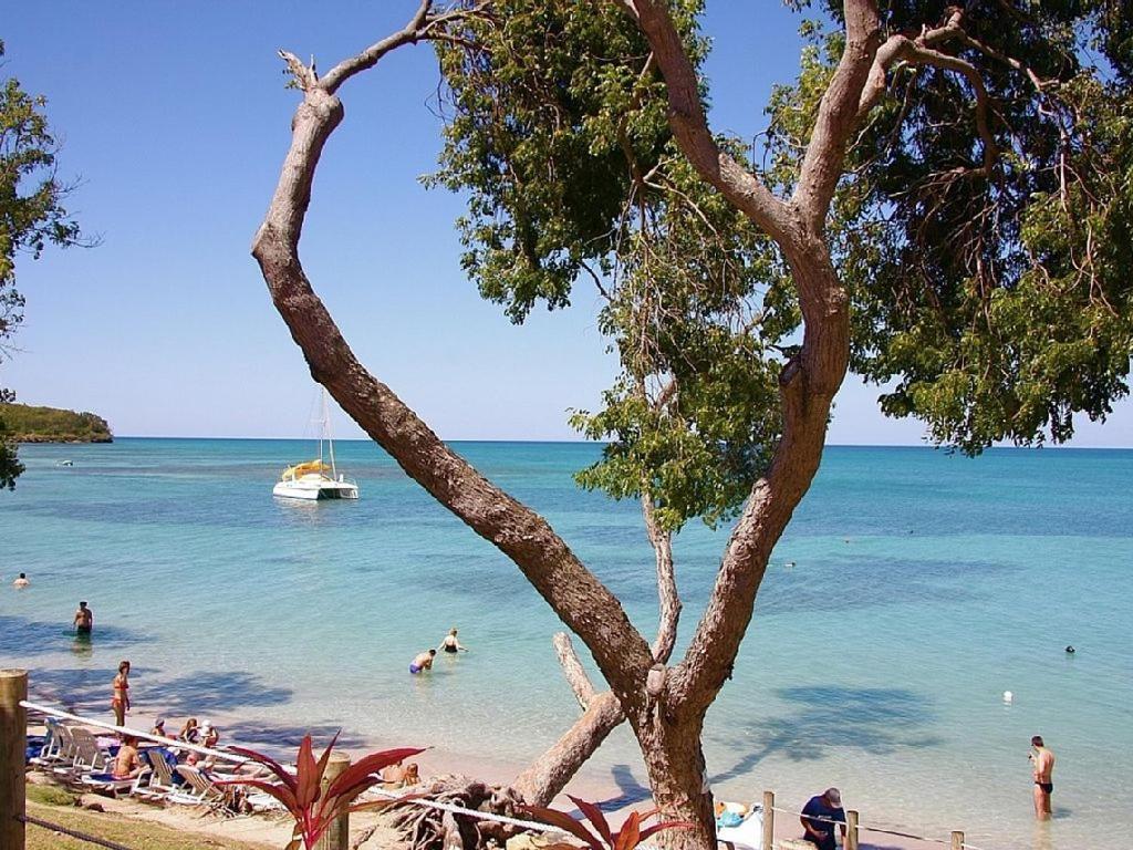 Studio Les Pieds Dans L'Eau Sainte-Anne Ngoại thất bức ảnh