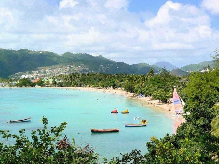 Studio Les Pieds Dans L'Eau Sainte-Anne Ngoại thất bức ảnh